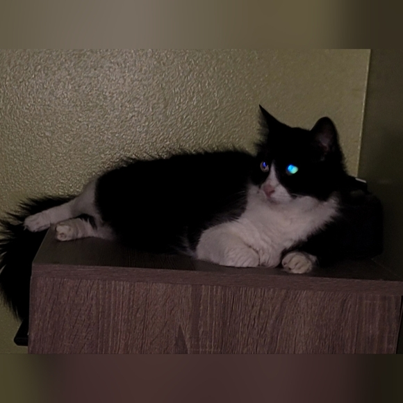 Kapua's (aka "Kap") Live Share Show - Picture 8 of 13